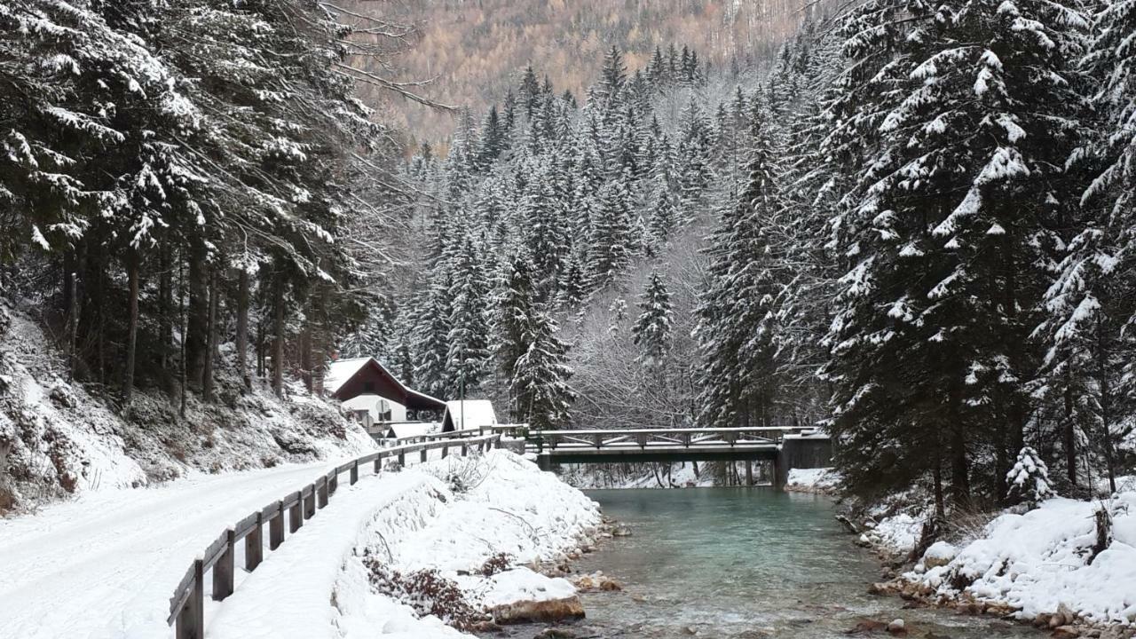 Mountain Peaks Apartment With Sauna Gozd Martuljek Kültér fotó